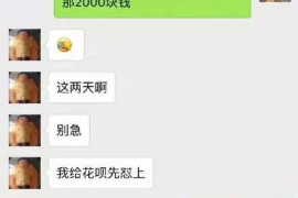 龙沙龙沙的要账公司在催收过程中的策略和技巧有哪些？