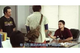 龙沙为什么选择专业追讨公司来处理您的债务纠纷？